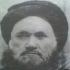 سید مجاهدین