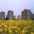 دوکوهه؛ سجده گاهی به وسعت آسمان دوکوهه؛ سجده گاهی به وسعت آسمان