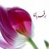 معراجی برای خاک معراجی برای خاک