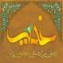 باز روز غدیر آمده است باز روز غدیر آمده است