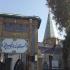 کهنسال ترین موجود زنده تهران کهنسال ترین موجود زنده تهران