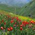 میزبانی نوروزی اردبیل با چشمه های بهشتی میزبانی نوروزی اردبیل با چشمه های بهشتی