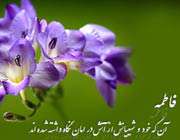 ولادت حضرت زهرا