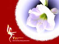 عید غدیر خم ، یا علی ، گل