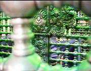 نوحه، محرم، امام حسین، علی اصغر