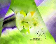 امام صادق(ع)
