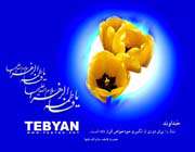 یا زهرا