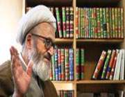 آیتالله سبحانی: کتابهای مربوط به امام رضا(ع) در اختیار میهمانان خارجی قرار گیرد
