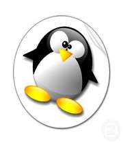 pingo