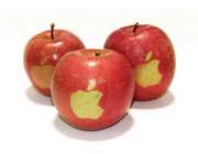 سیب با لوگوی اپل