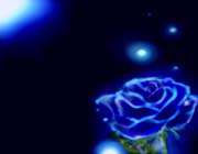 نیلا گلاب 