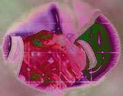 دست به یکی