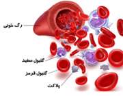 اجزای خون