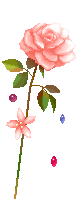 گل