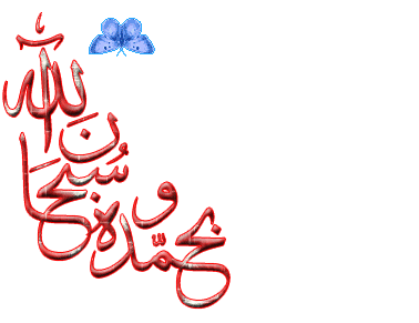 جایگاه انسان