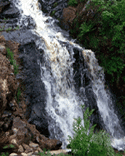 طبیعت