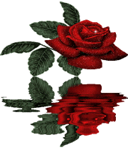 اسوه حسنه