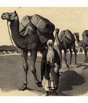 قافله