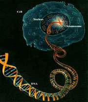 تولید ورقههای فلزی با dna