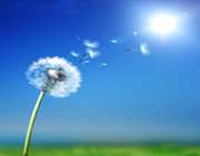 بجای آرزومندی تمنی نویسند