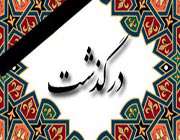 شاعری بر اثر گازگرفتگی درگذشت