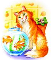 گربه همسایه