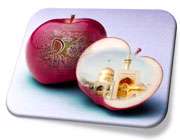 ستاره مشرقی ستاره مشرقی
