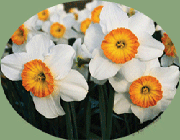 پای درس استاد