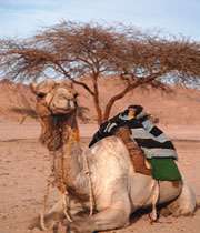 شتر