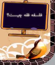 فلسفه فقه