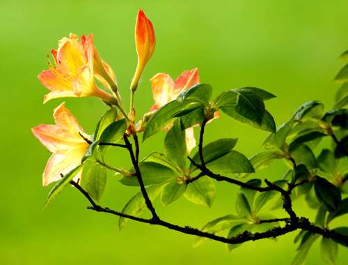 خواهی كه خدای بر تو بخشد؟