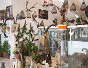 موزه طبيعت و حيات وحش ايران