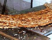 دما و دماسنجی