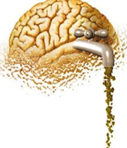 فرار مغزها