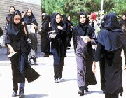 دانشگاه