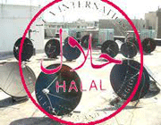 ماهواره حلال