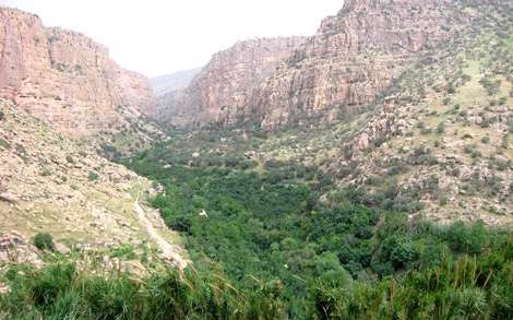 کرمانشاه