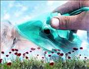 دیده بان نفوذی