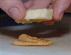 خوراکی مقوی