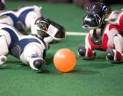 ليگ هاي مسابقات Robocup ليگ هاي مسابقات Robocup