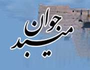 سایت میبد جوان