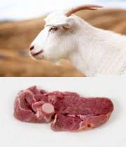 گوشت بز