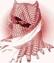 شیعه-وهابیون