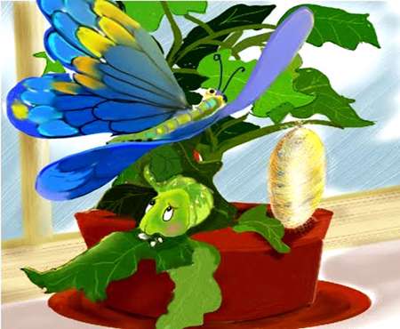 تلاش برای پرواز