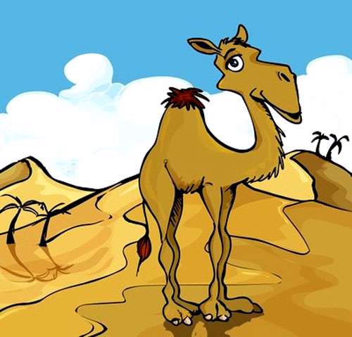 ش مثل شتر