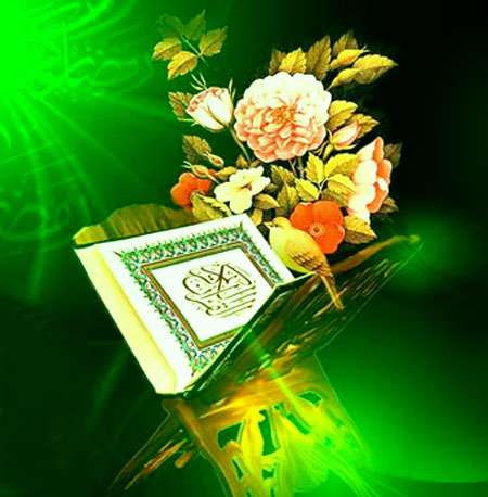 دلیل روشن و حجت آشکار