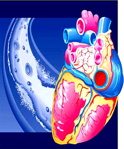 قلب من چه کار می کند؟