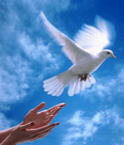 آزادی