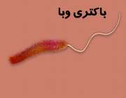 وبا