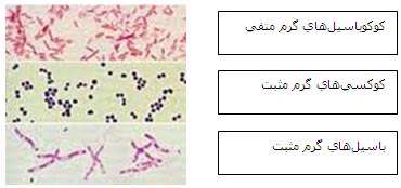 آشنایی با رنگ آمیزی گرم